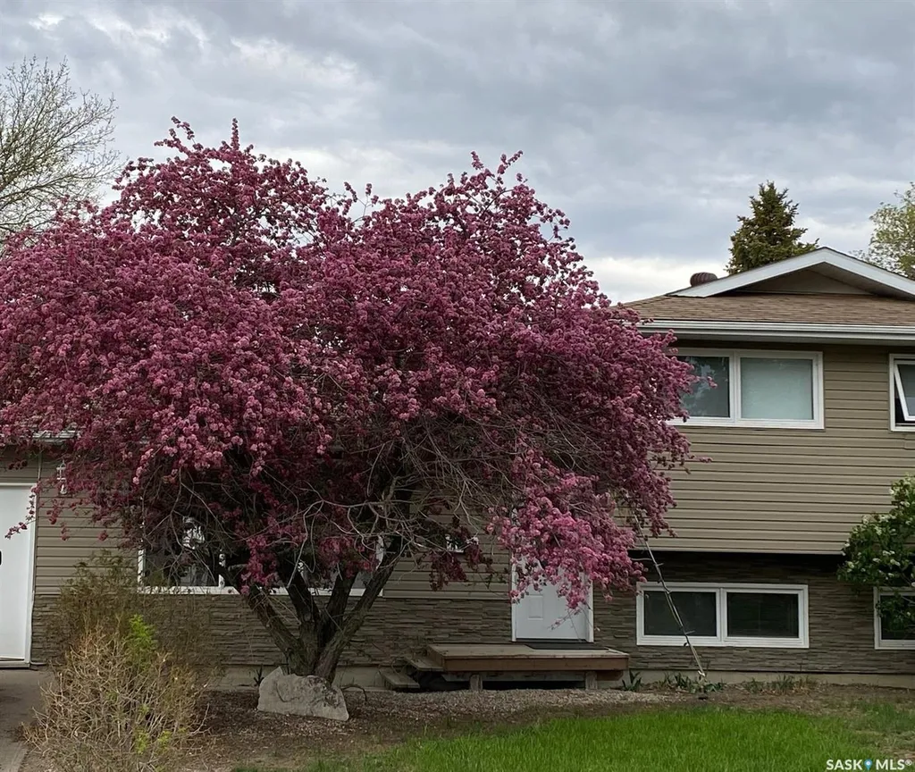 1012 6th Street E Rosetown SK S0L 2V0