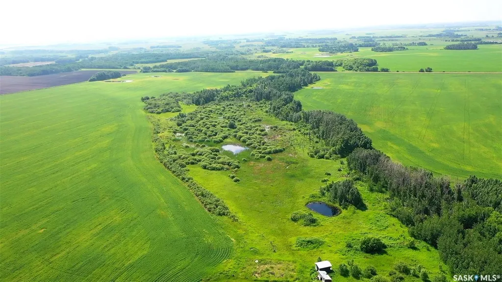 Rural Address Cana Rm No. 214 SK S3N 2W4