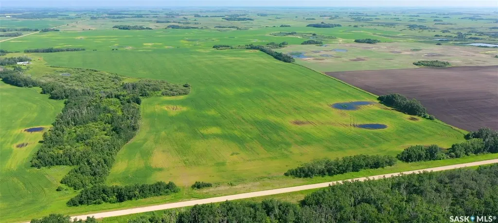 Rural Address Cana Rm No. 214 SK S3N 2W4