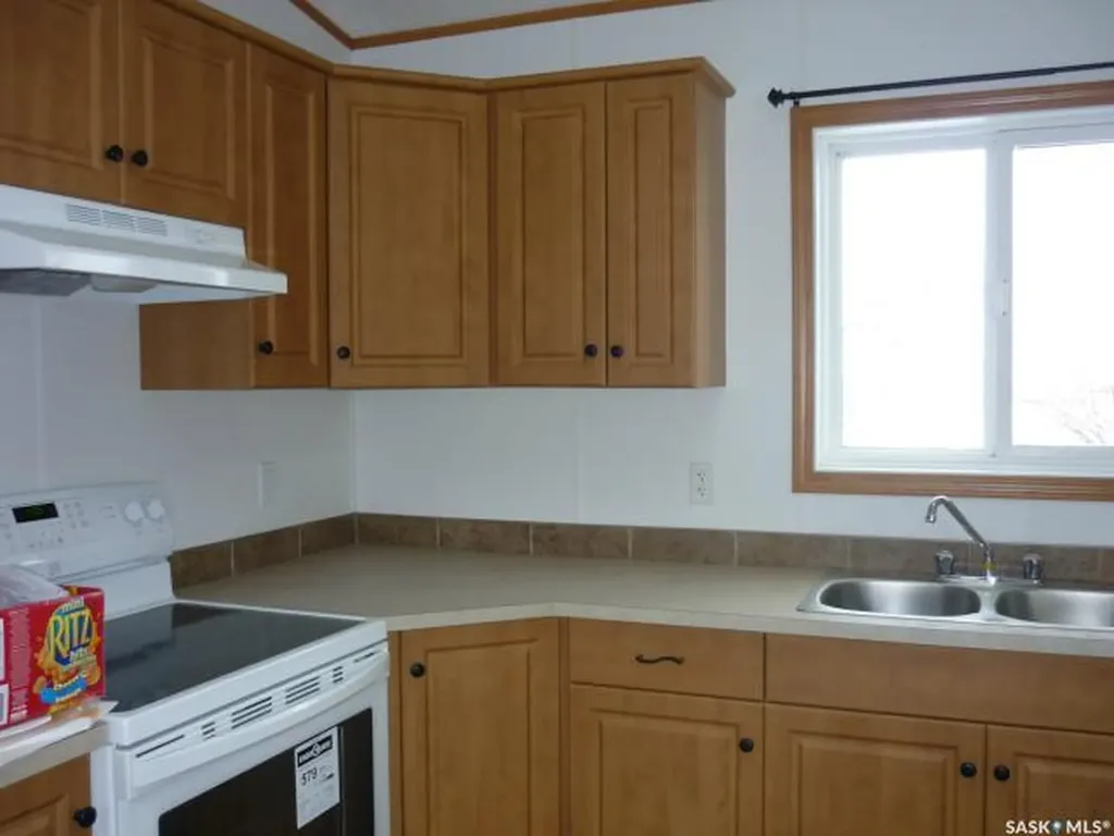 Lot 4 Fm Godart Way Rural Address St. Brieux SK S0K 3V0