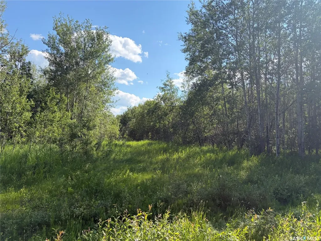 4 Rural Address Big River Rm No. 555 SK S0J 0E0