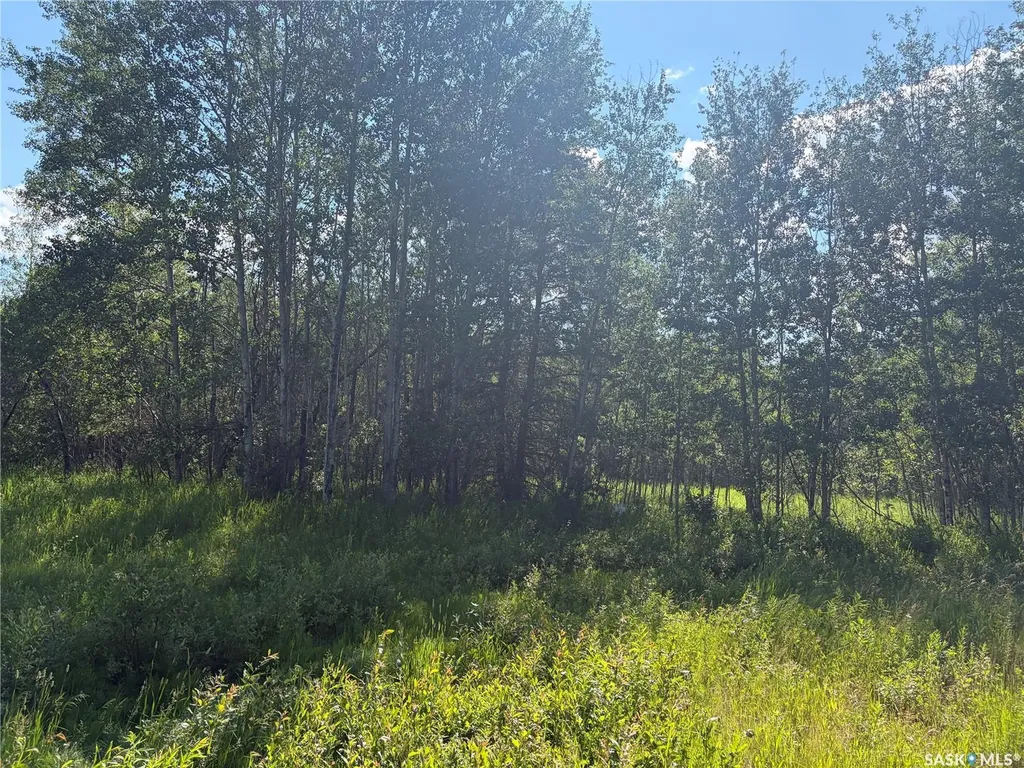 4 Rural Address Big River Rm No. 555 SK S0J 0E0