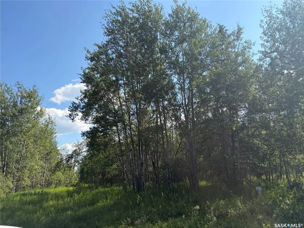 4 Rural Address Big River Rm No. 555 SK S0J 0E0