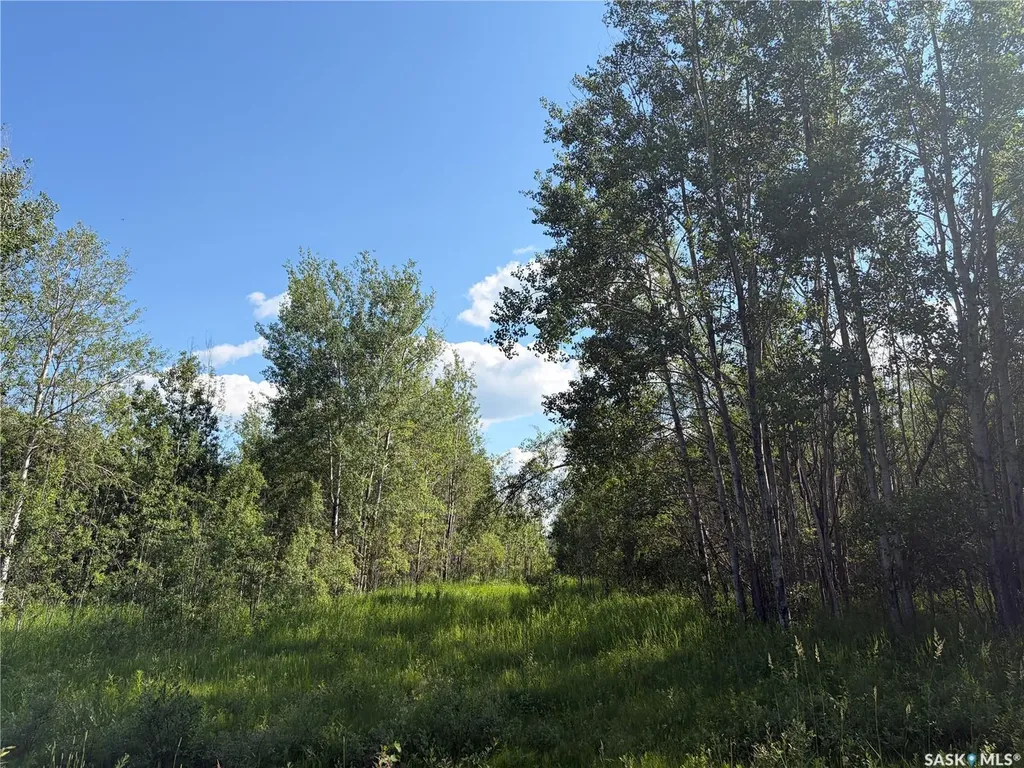 4 Rural Address Big River Rm No. 555 SK S0J 0E0