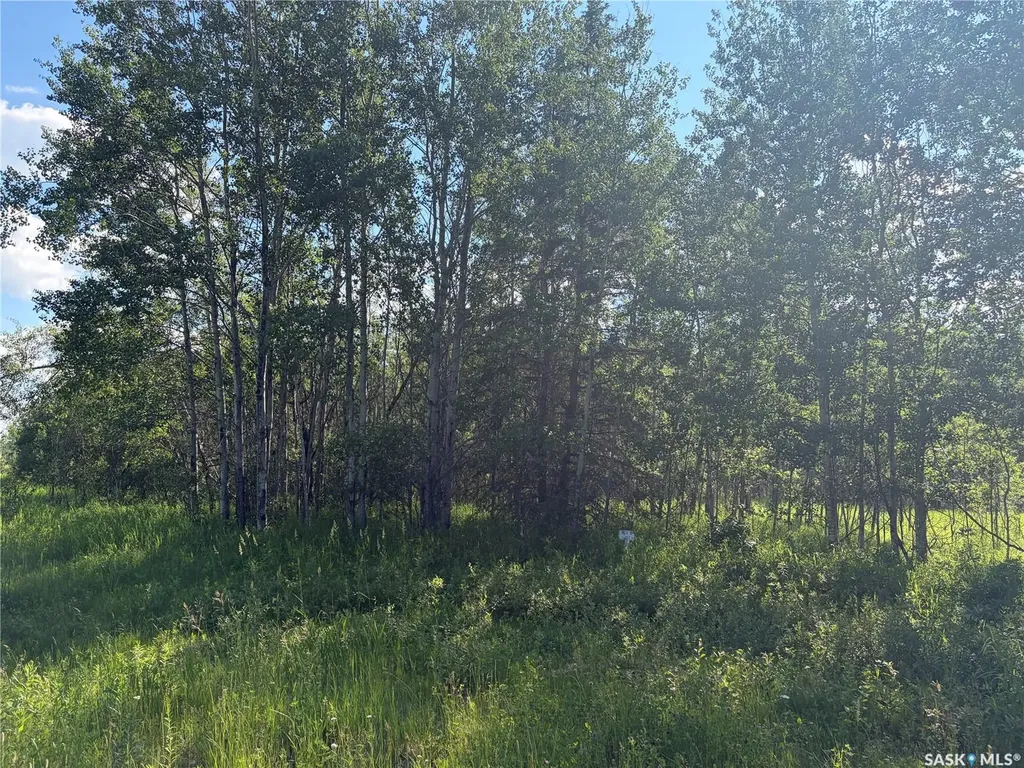 4 Rural Address Big River Rm No. 555 SK S0J 0E0