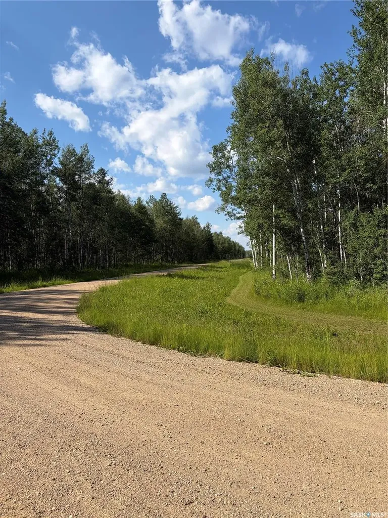 4 Rural Address Big River Rm No. 555 SK S0J 0E0