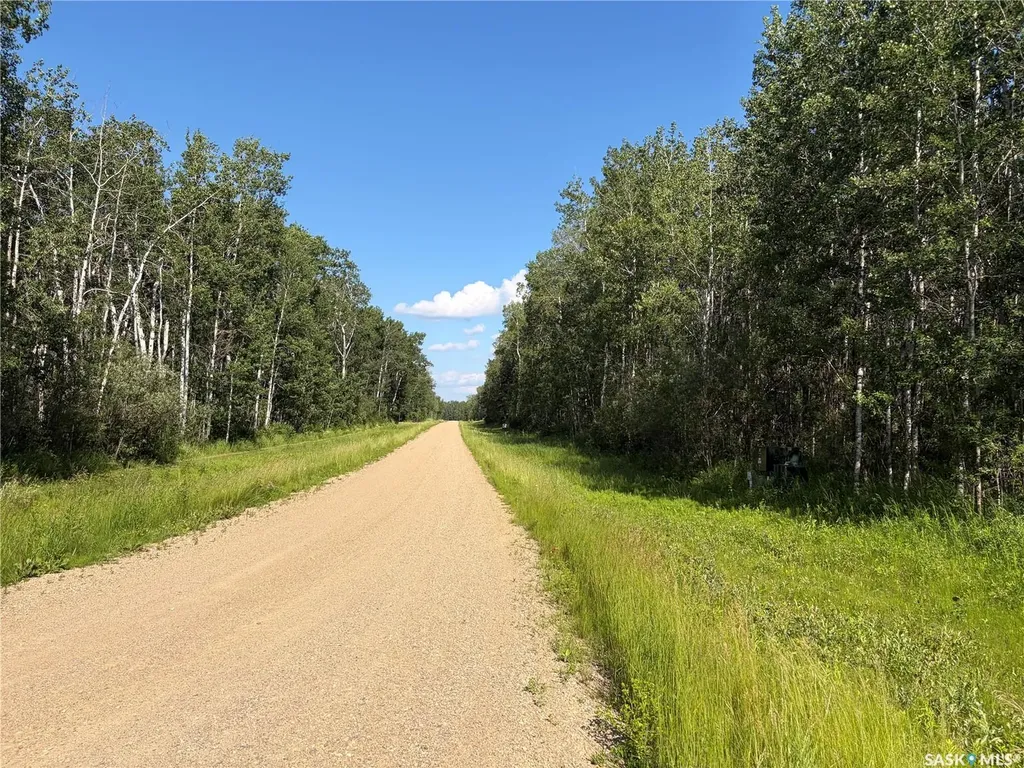 4 Rural Address Big River Rm No. 555 SK S0J 0E0