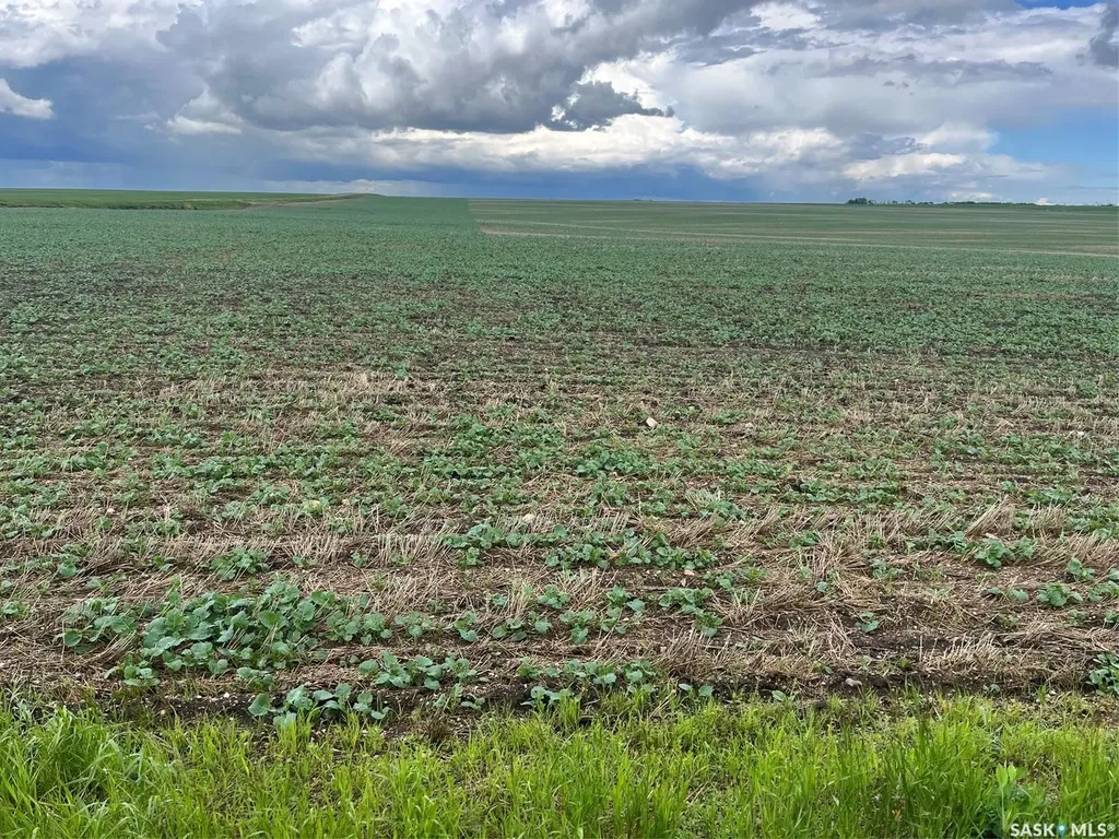 Rural Address Wakaw SK S0K 4P0