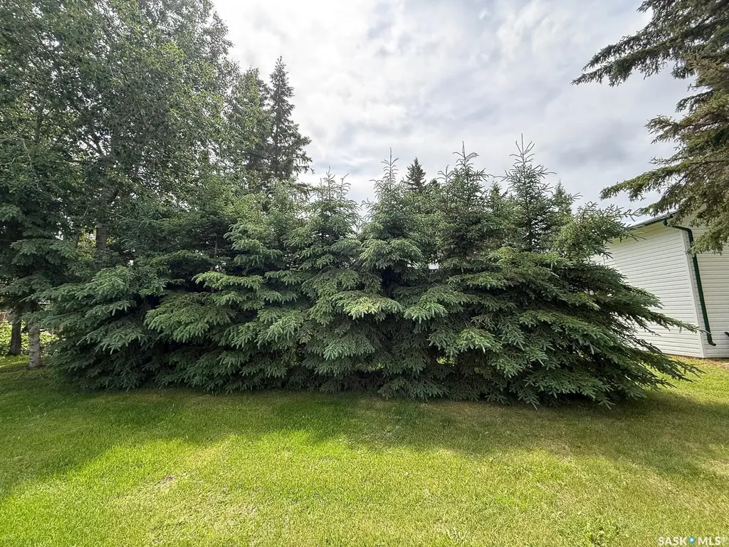 204 Walanne Way Turtle View SK S0M 1J0