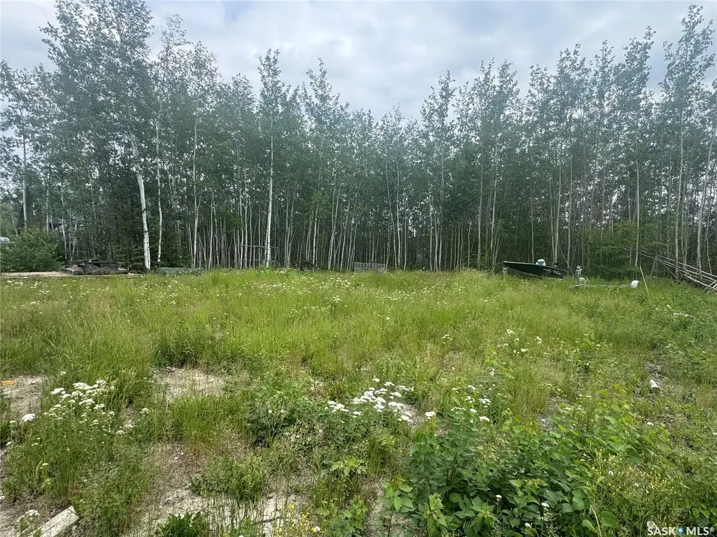 184 Eagle Point Drive La Ronge SK S0J 1L0