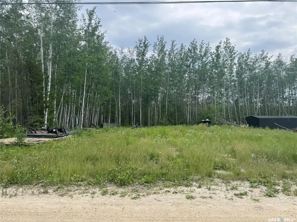 184 Eagle Point Drive La Ronge SK S0J 1L0