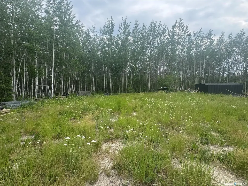 184 Eagle Point Drive La Ronge SK S0J 1L0