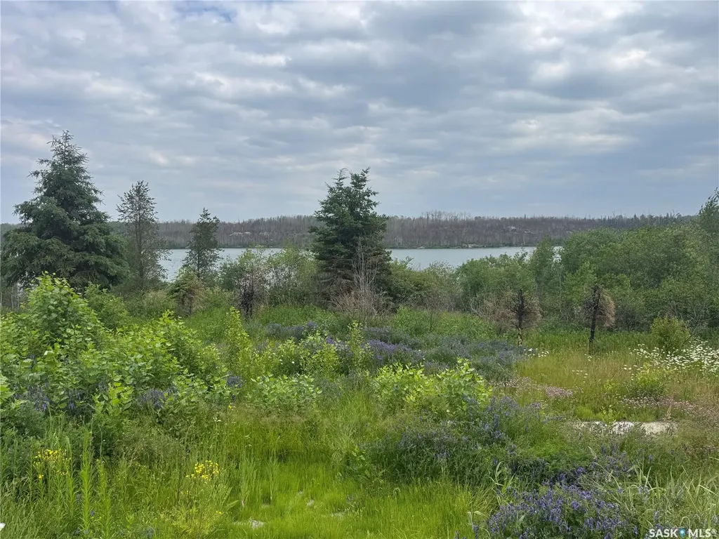 226 Eagle Point Drive La Ronge SK S0J 1L0