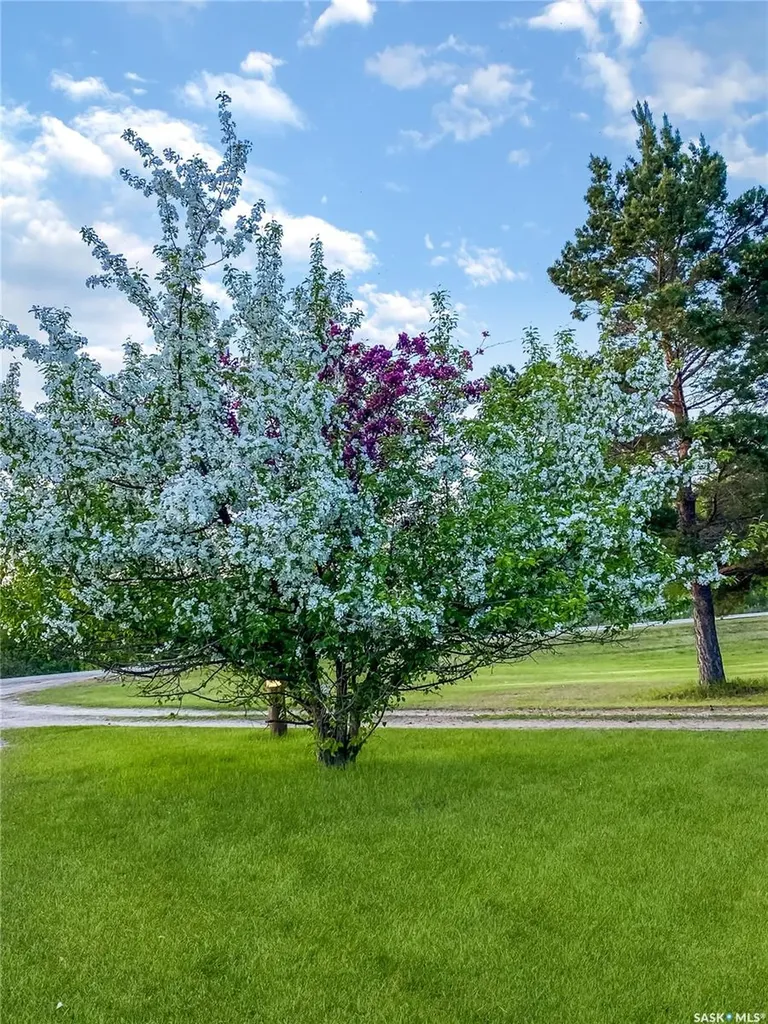 Rural Address Prince Albert Rm No. 461 SK S6V 5P8