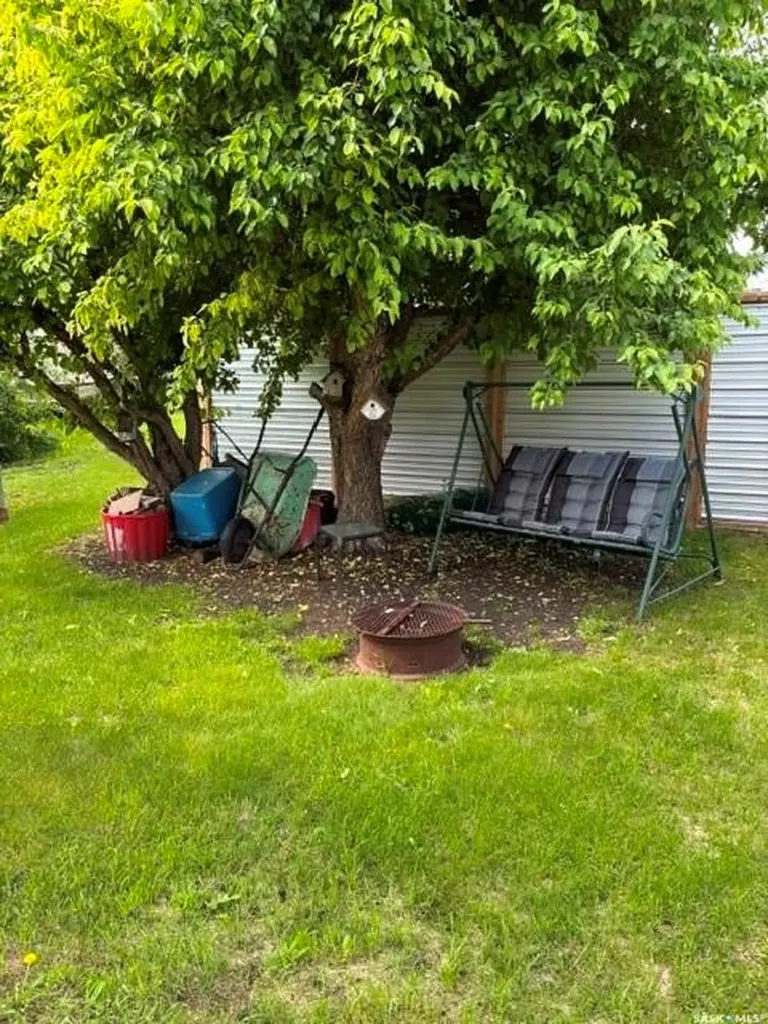 17 Lumsden Street Manor SK S0C 1R0