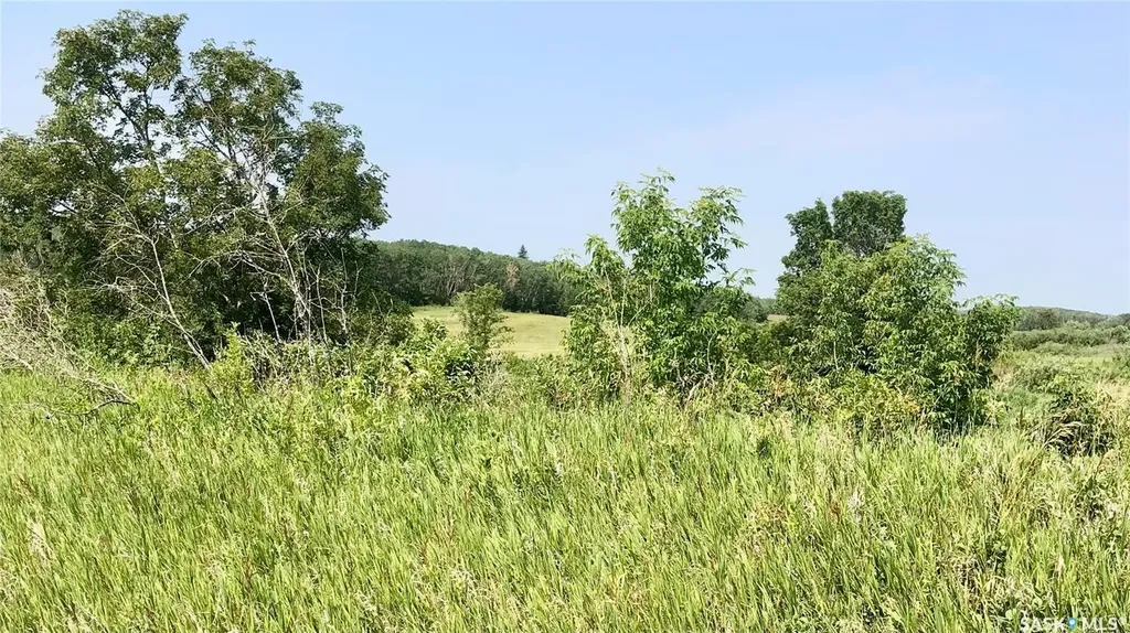 Rural Address Livingston Rm No. 331 SK S0A 2Z0