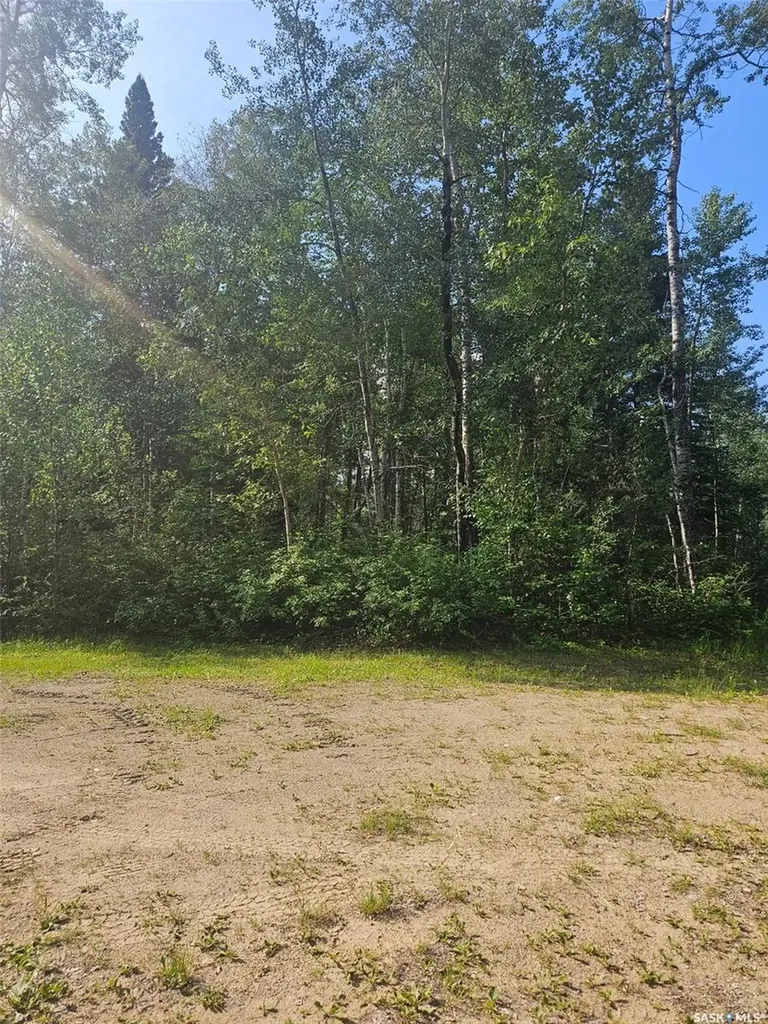 908 Lynx Place Northern Admin District SK S0J 3G0