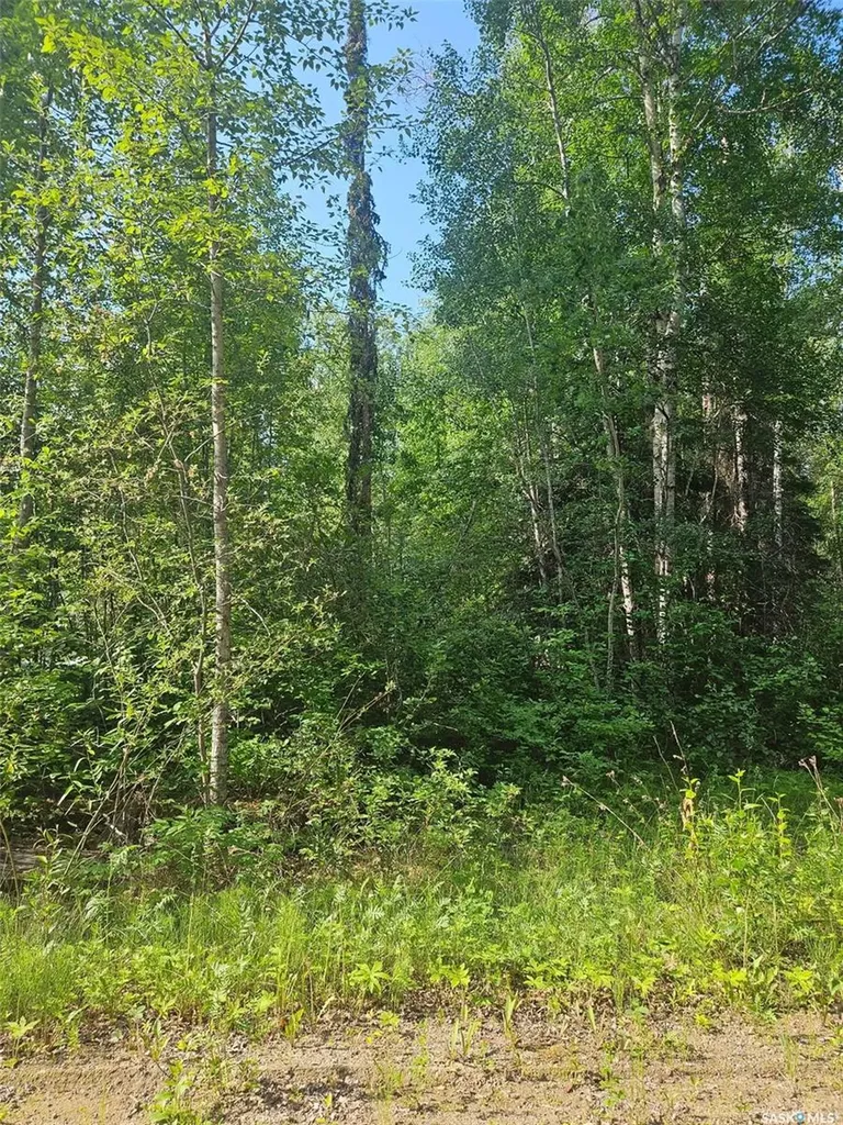 908 Lynx Place Northern Admin District SK S0J 3G0