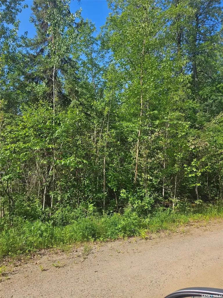 908 Lynx Place Northern Admin District SK S0J 3G0