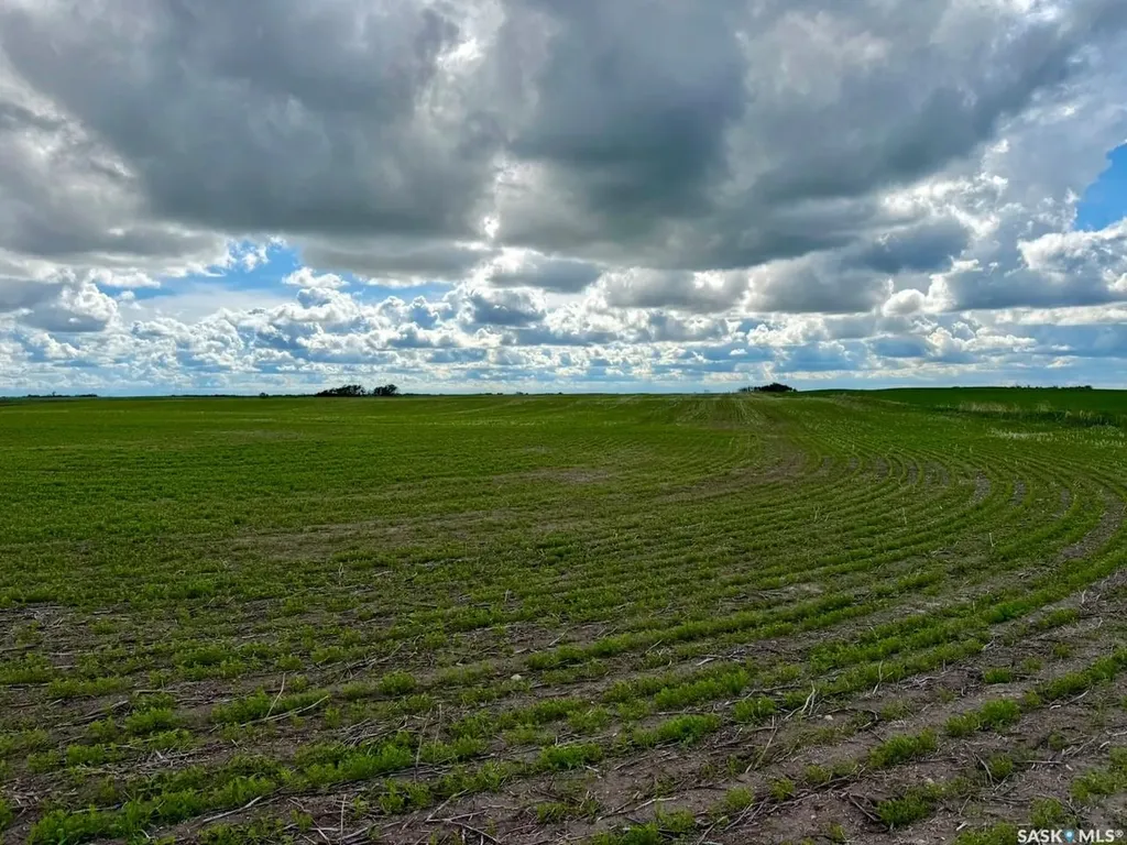 Rural Address Mount Hope Rm No. 279 SK S0A 3J0
