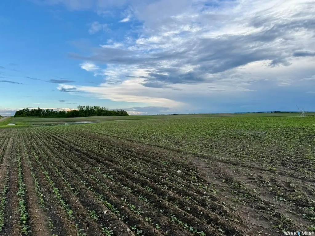 Rural Address Mount Hope Rm No. 279 SK S0G 4V0