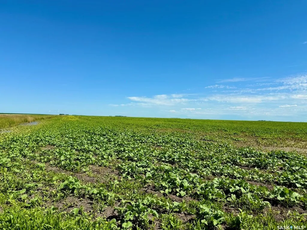 Rural Address Lajord Rm No. 128 SK S0G 2T0