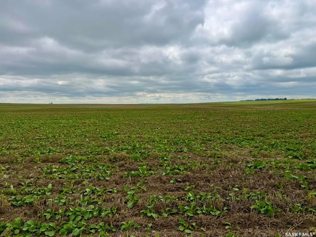 Rural Address Swift Current Rm No. 137 SK S0N 2Y0