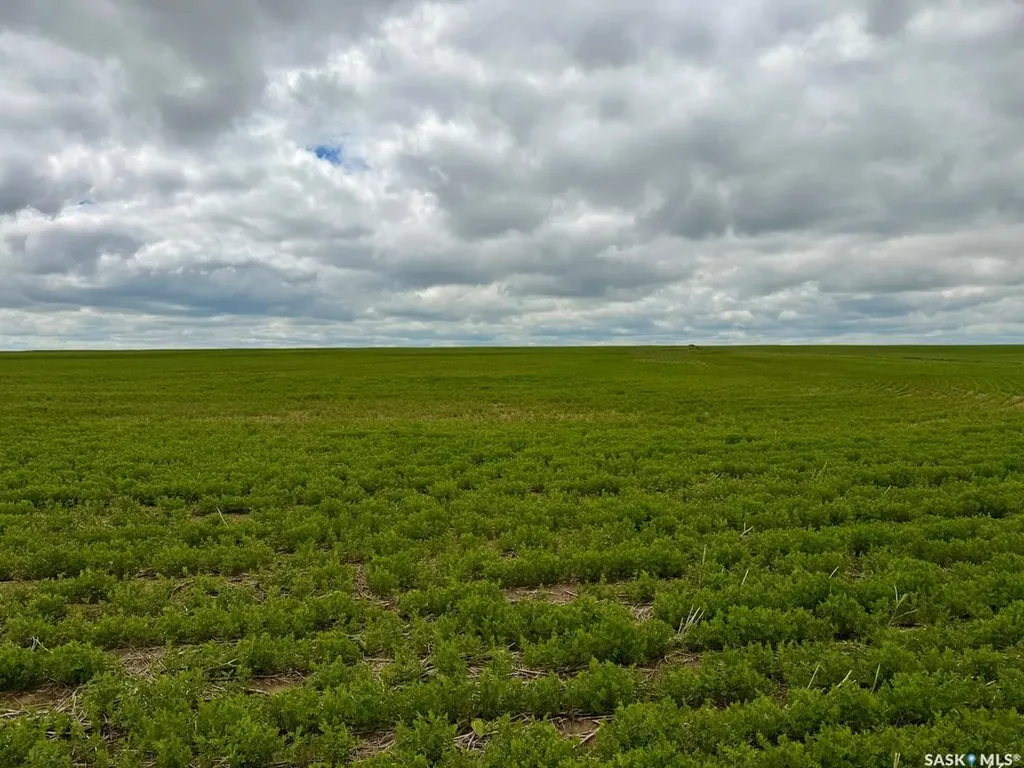 Rural Address Swift Current Rm No. 137 SK S0N 2Y0