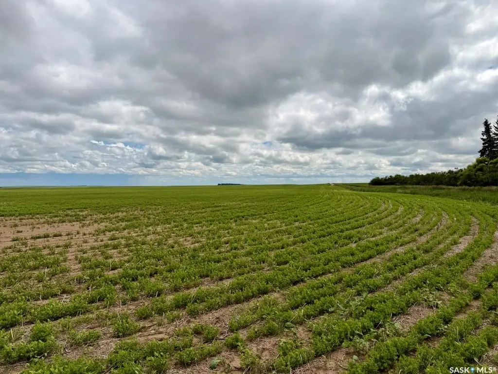 Rural Address Swift Current Rm No. 137 SK S0N 2Y0