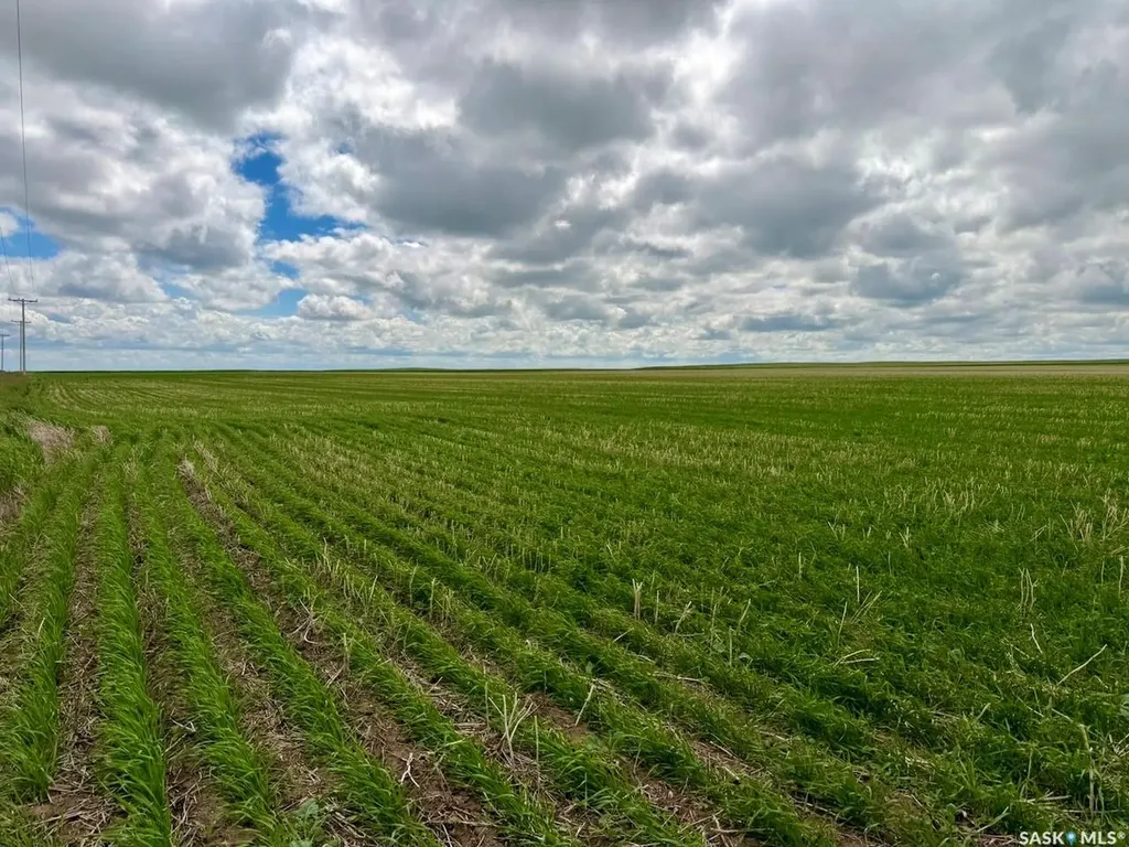 Rural Address Swift Current Rm No. 137 SK S0N 2Y0