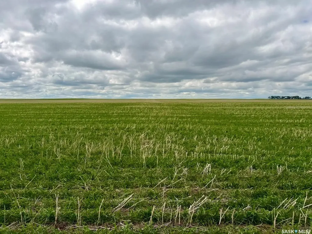 Rural Address Swift Current Rm No. 137 SK S0N 2Y0