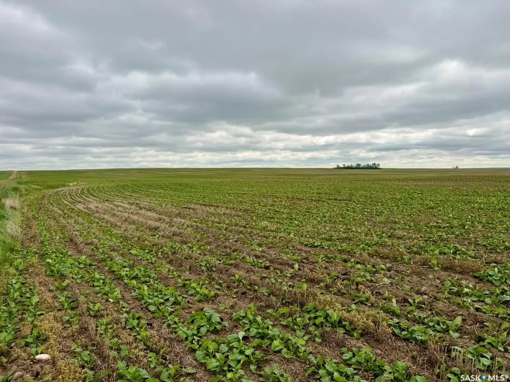 Rural Address Swift Current Rm No. 137 SK S0N 2Y0