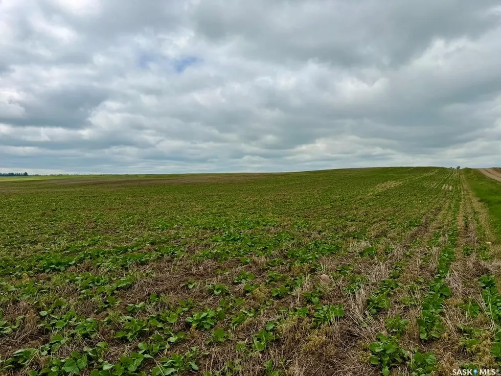 Rural Address Swift Current Rm No. 137 SK S0N 2Y0
