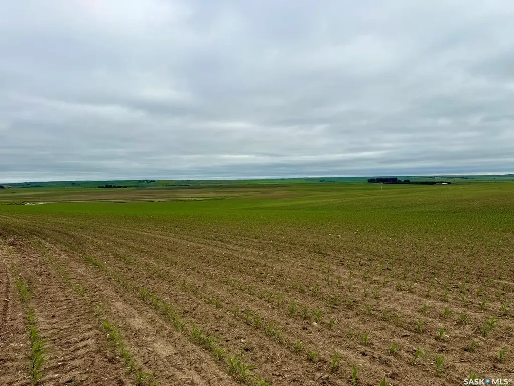 Rural Address Swift Current Rm No. 137 SK S0N 2Y0