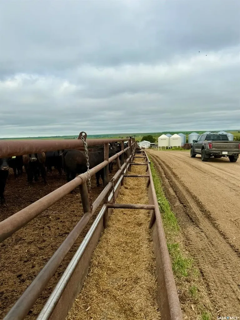 Rural Address Swift Current Rm No. 137 SK S0N 2Y0