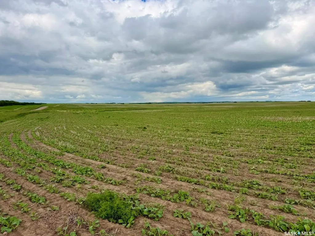 Rural Address Bone Creek Rm No. 108 SK S0N 0B0