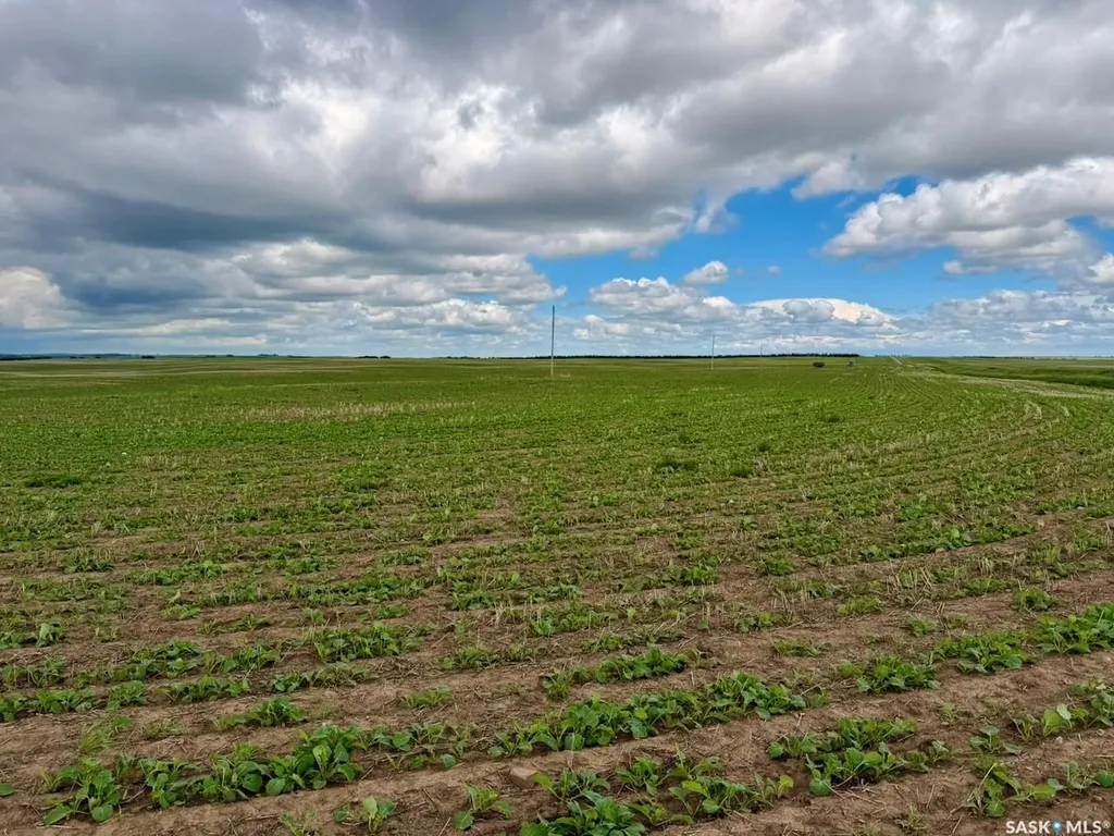 Rural Address Bone Creek Rm No. 108 SK S0N 0B0