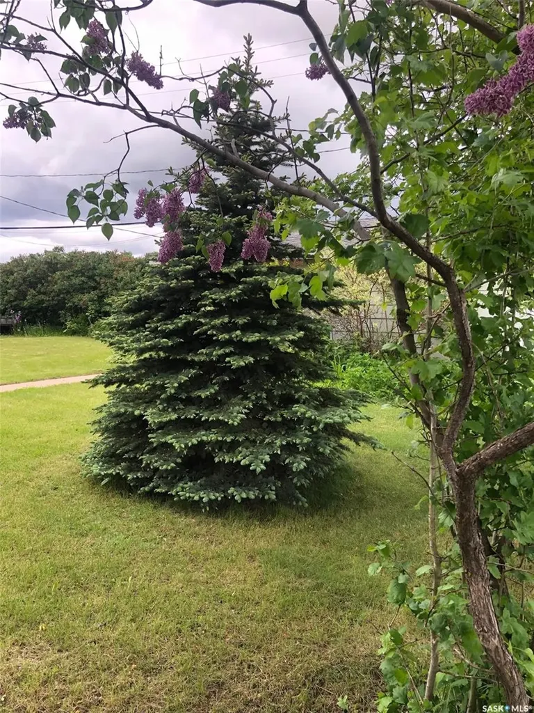 48 Highway Avenue E Preeceville SK S0A 3B0