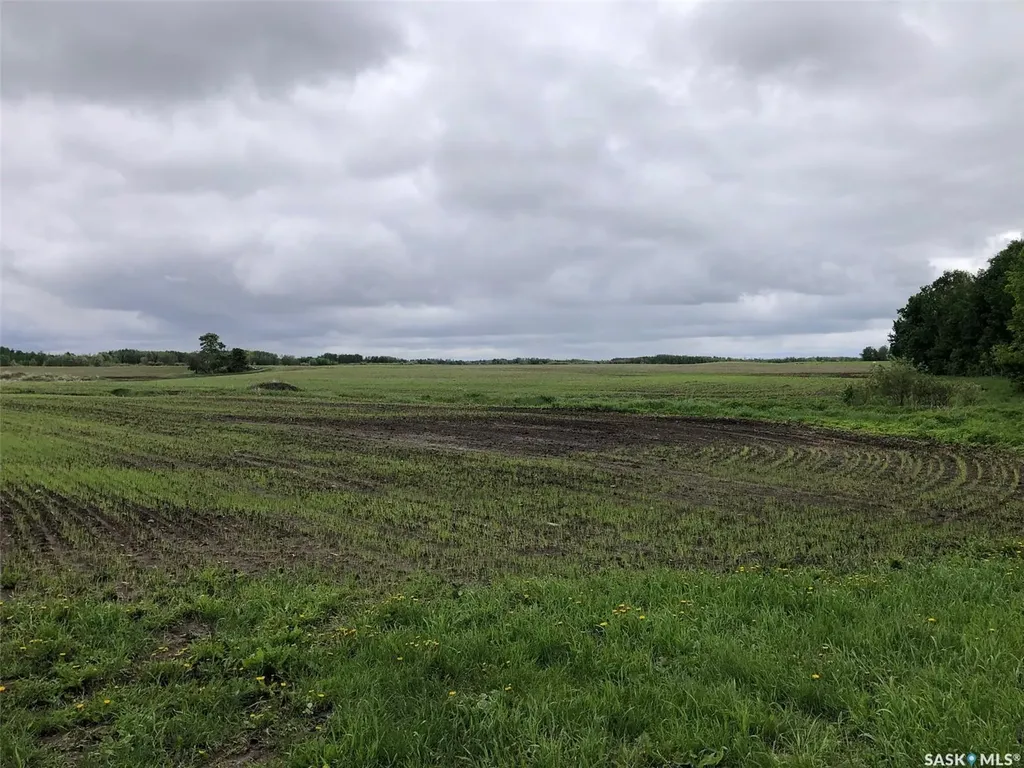 Rural Address Preeceville Rm No. 334 SK S0A 0A2