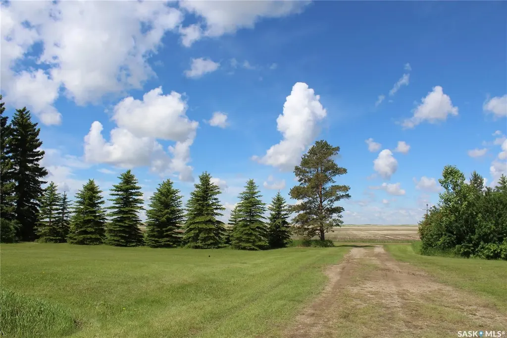 Rural Address Buffalo Rm No. 409 SK S0K 4W0