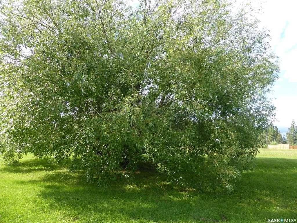 6 Lakeshore Drive Kivimaa-moonlight Bay SK S0M 1J0