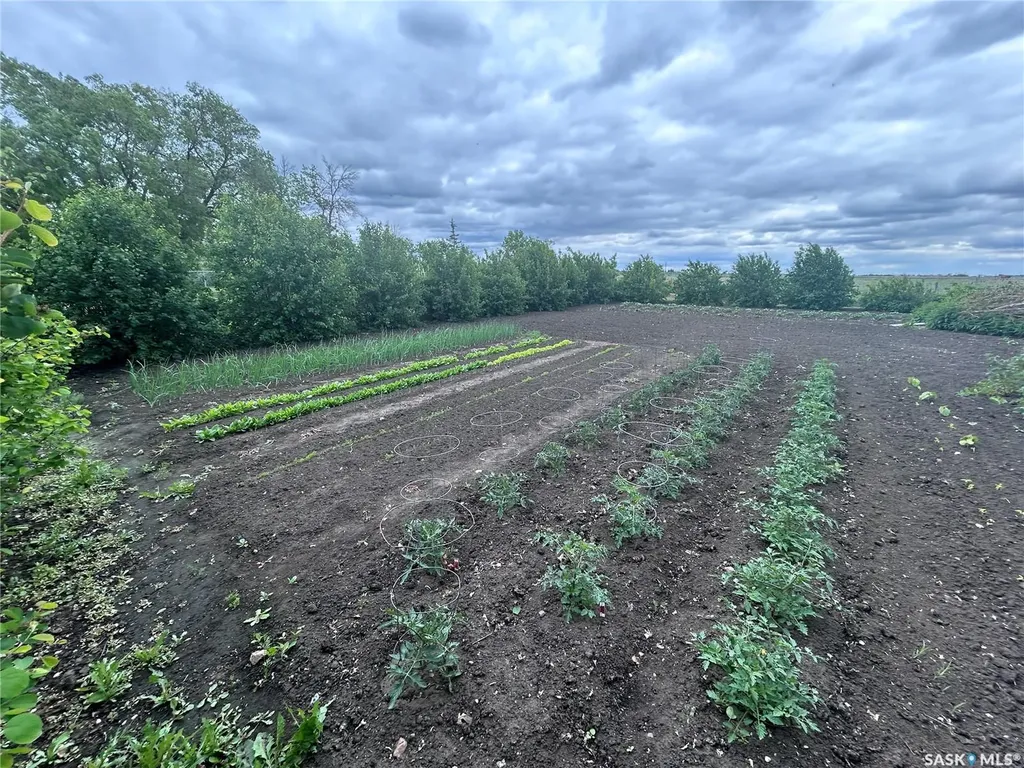 207 4th Street S Dalmeny SK S0K 1E0