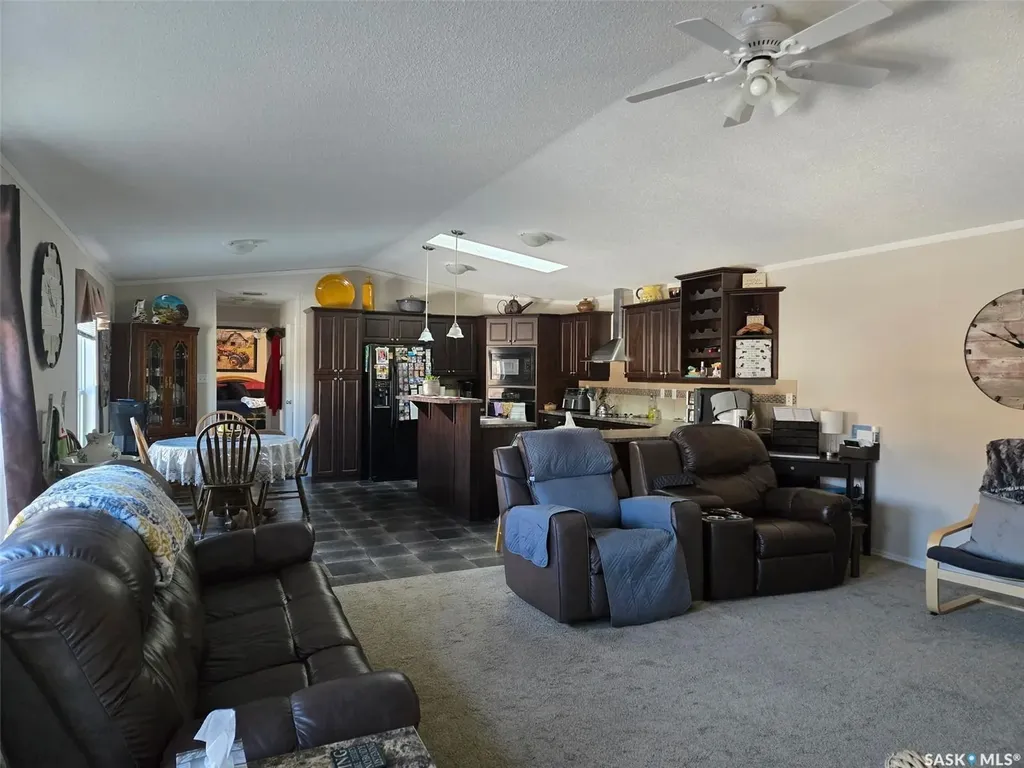 29 Sunrise Estates Assiniboia SK S0H 0B0