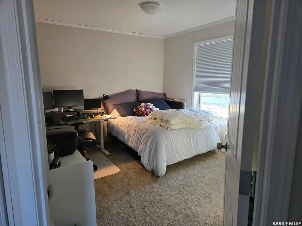 29 Sunrise Estates Assiniboia SK S0H 0B0