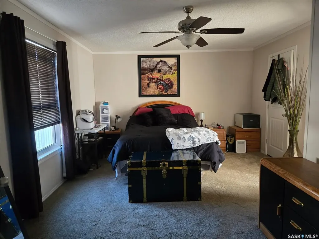 29 Sunrise Estates Assiniboia SK S0H 0B0