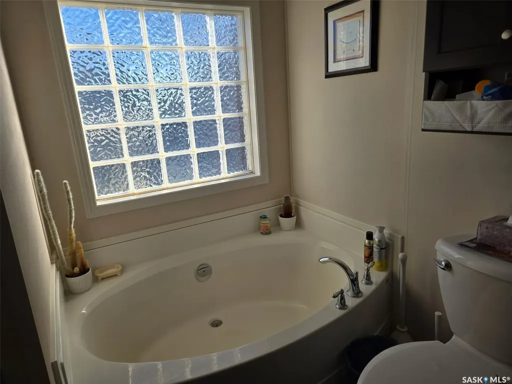 29 Sunrise Estates Assiniboia SK S0H 0B0