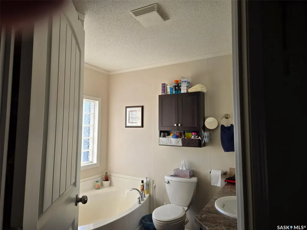 29 Sunrise Estates Assiniboia SK S0H 0B0