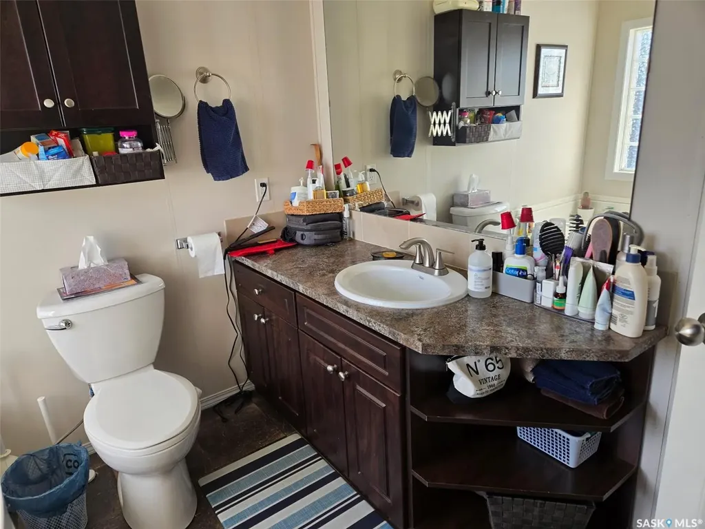 29 Sunrise Estates Assiniboia SK S0H 0B0