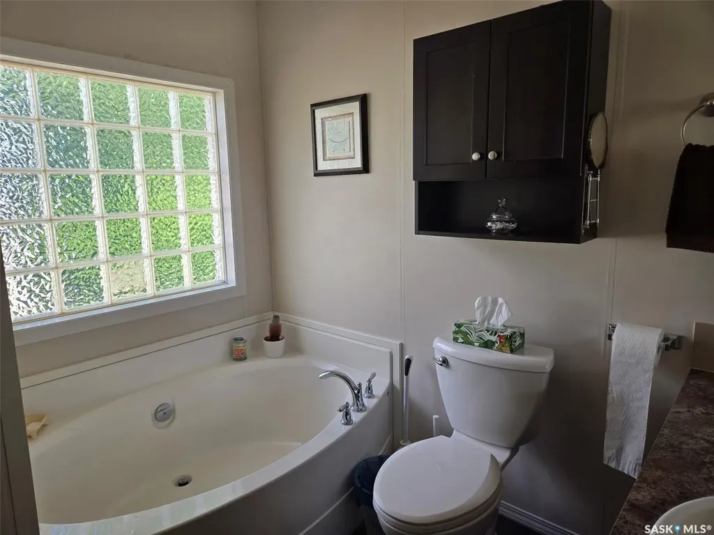 29 Sunrise Estates Assiniboia SK S0H 0B0