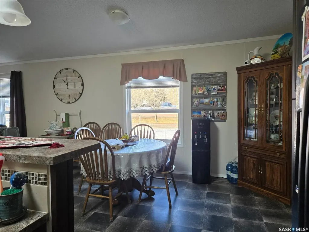 29 Sunrise Estates Assiniboia SK S0H 0B0